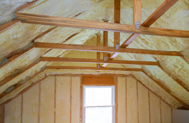 Best Cellulose Insulation in Camp Springs, MD