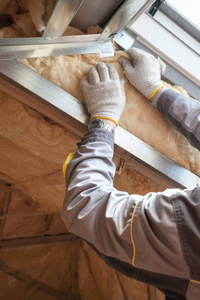 Types of Insulation We Offer in Camp Springs, MD