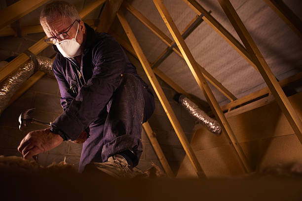 Best Spray Foam Insulation in Camp Springs, MD