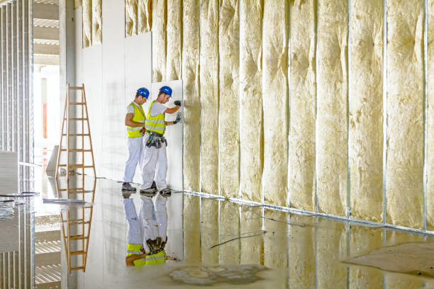 Best Blown-in Insulation in Camp Springs, MD